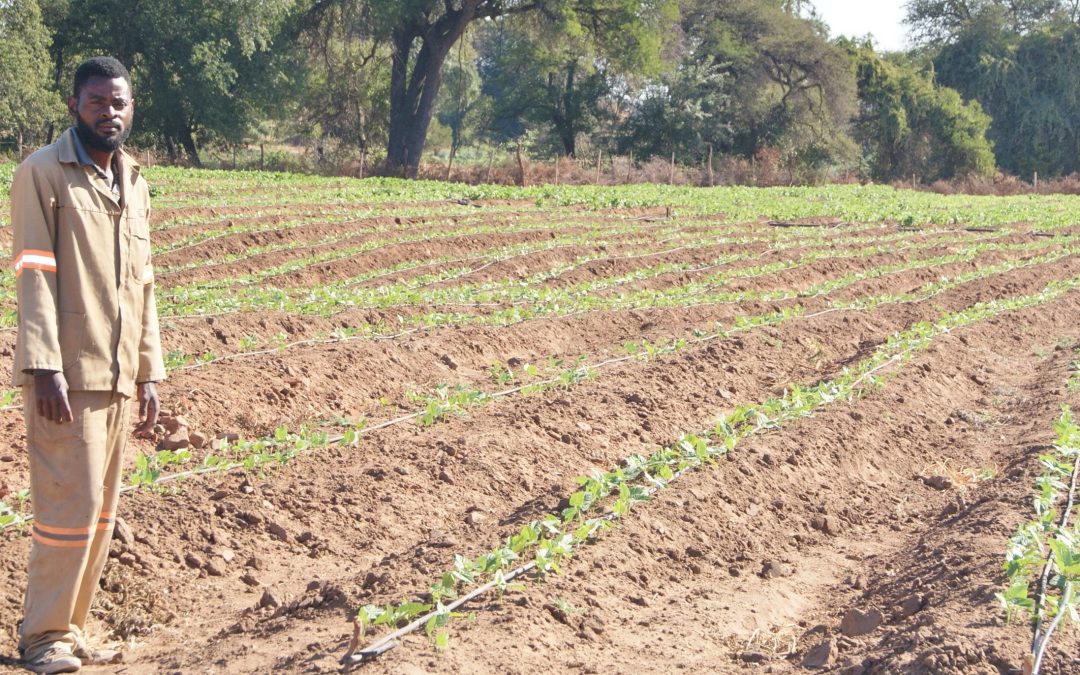 Young farmer ready to conquer the farming industry