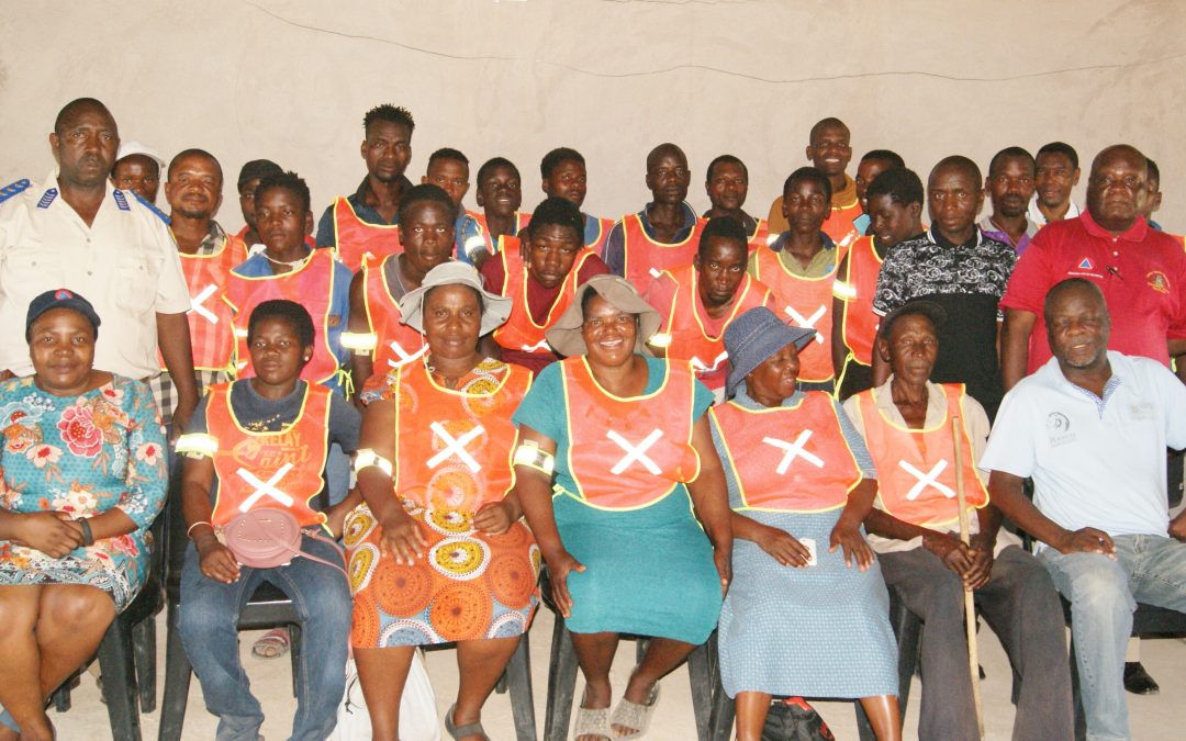 Stray animal campaign, a huge success