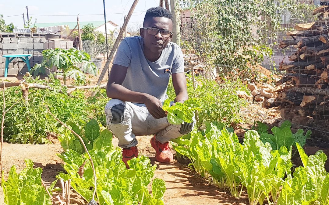 Planting better than buying